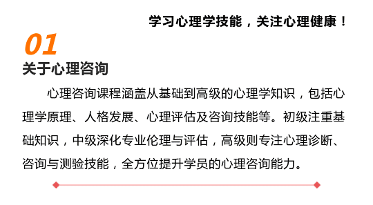 xin_02.png